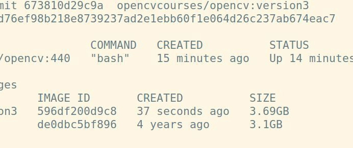 Saving the state of an interactive container
